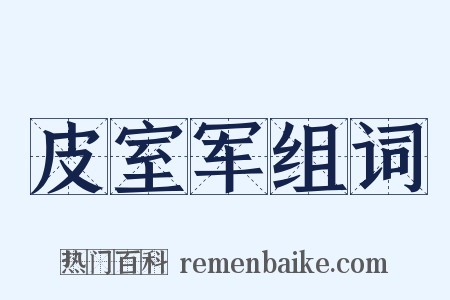 皮室军组词是什么意思的图片